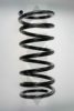 SPIDAN 85596 Coil Spring